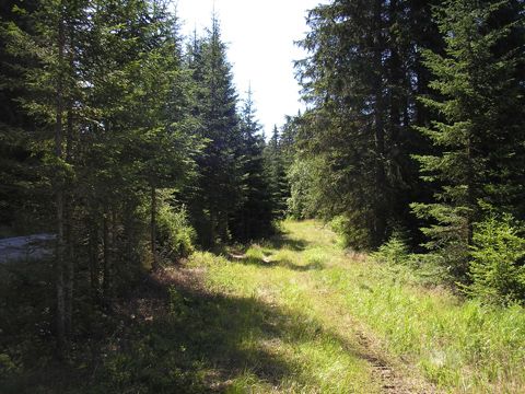 Foto 20
